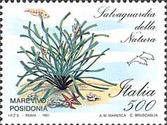 Italy Stamp Scott nr 1851 - Francobolli Sassone nº 1975 - Click Image to Close